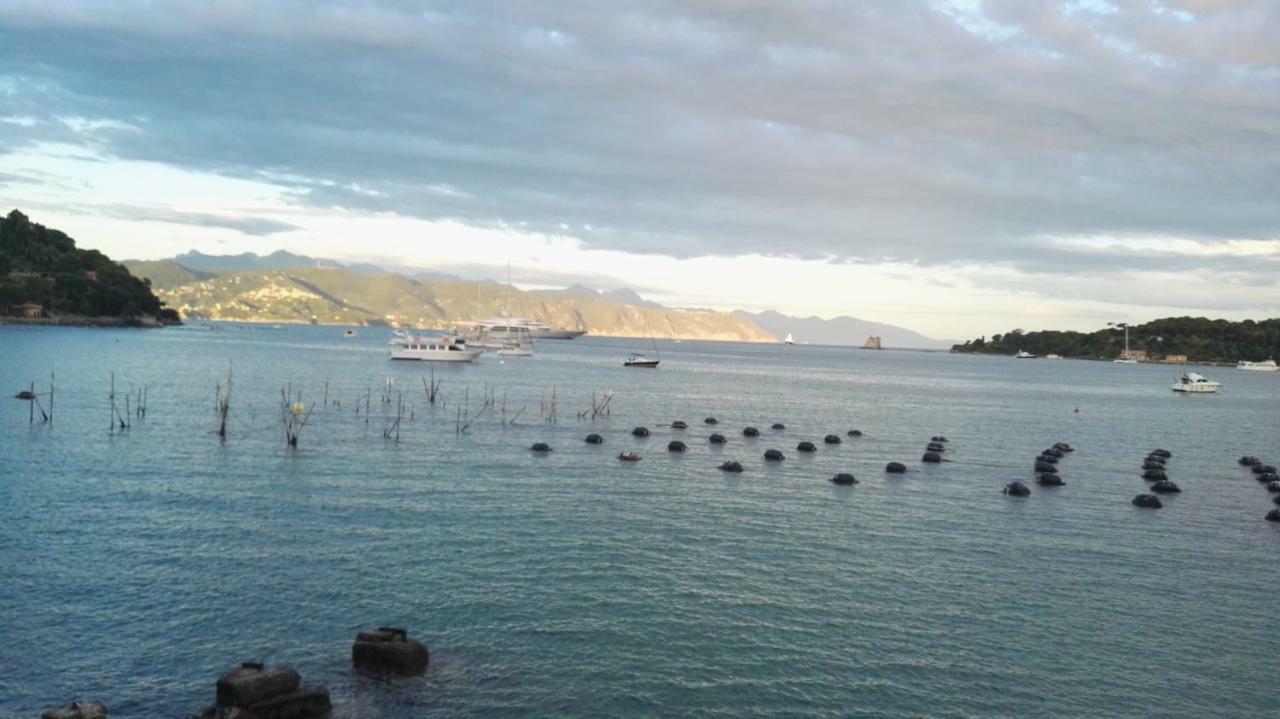 Il Nido Dei Gabbiani Villa Porto Venere Eksteriør billede