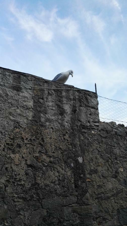 Il Nido Dei Gabbiani Villa Porto Venere Eksteriør billede